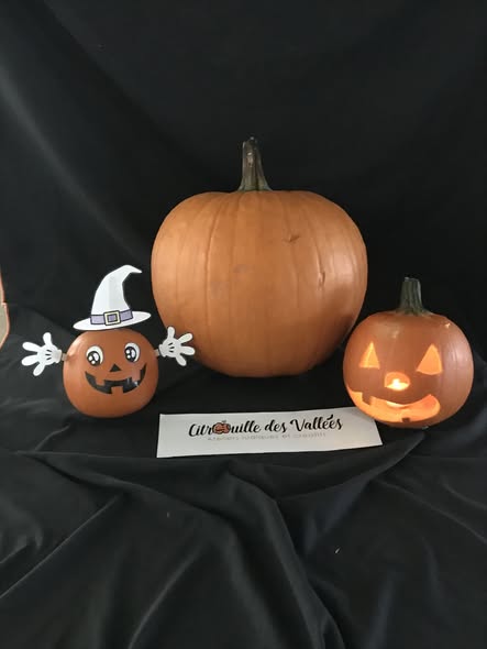 Trois citrouilles décorées et sculptées par des enfants lors d'un atelier Citrouille Des Vallées